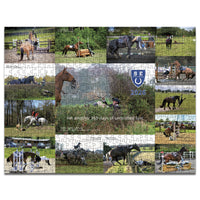 SEU 2026 Calendar Jigsaw
